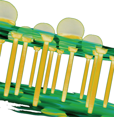 X射線三維顯微鏡 X射線三維顯微鏡